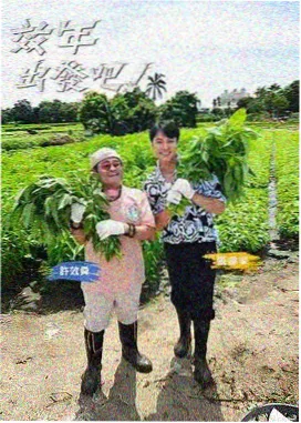 受访作画者苏梨的网点纸与刮网工具